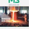 Moroccan Iron Steel