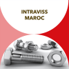 intraviss.ma