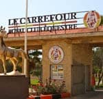 logo Royal Club Equestre Riyad Mohammedia (1)