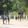 royal-club-equestre-le-carrefour-club-equestre-mohammedia-364
