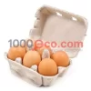 Primapack-S.-A.-E-Egypt-Service-Equipment