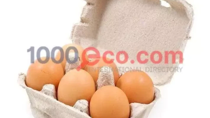 Primapack-S.-A.-E-Egypt-Service-Equipment