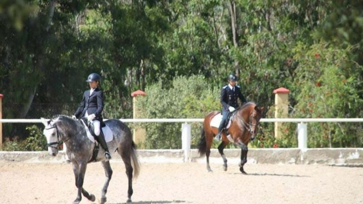 royal-club-equestre-le-carrefour-club-equestre-mohammedia-364